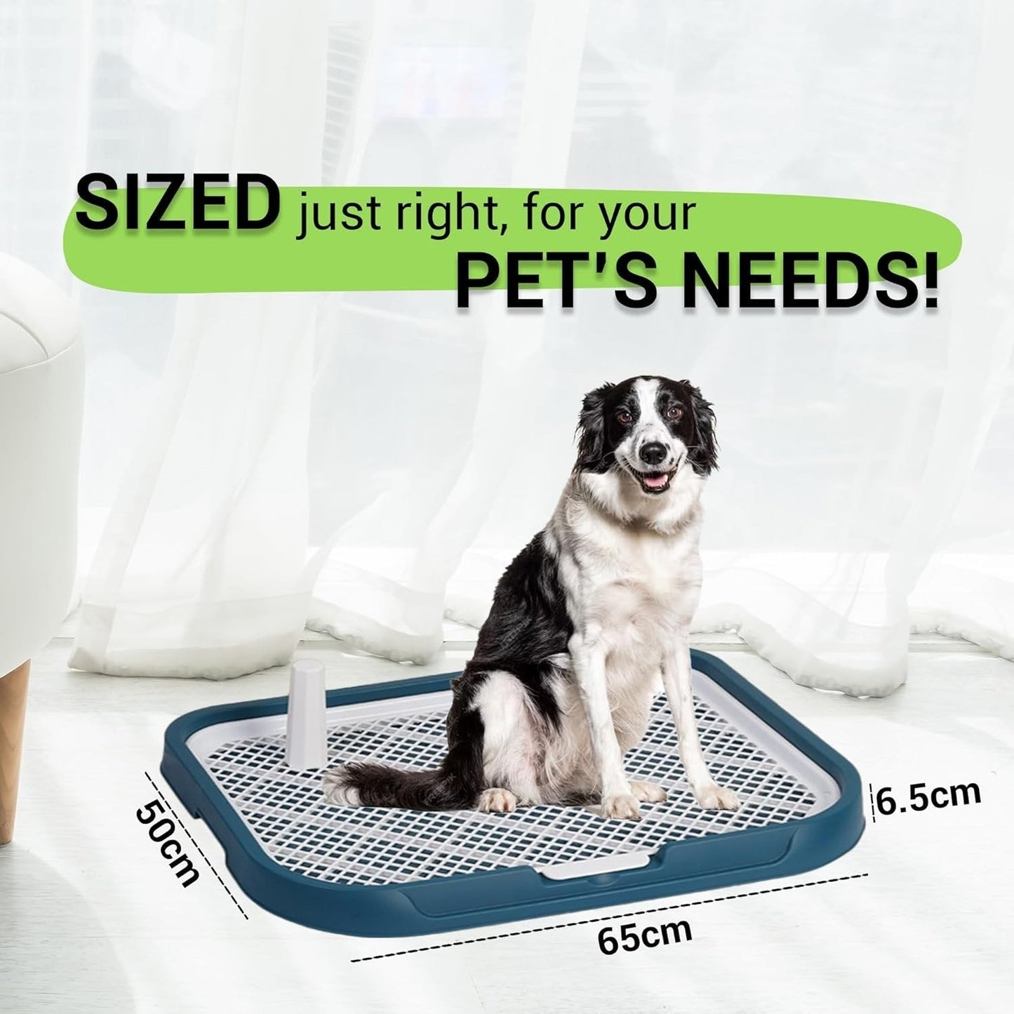 Dog Potty Training Toilet – Plastic Pee Pad Holder with Removable Net, Anti-Splash Guard & Easy Clean Tray