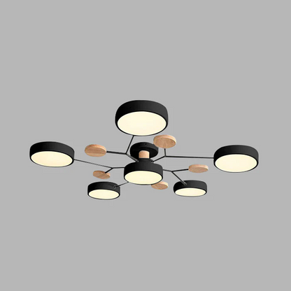Stylish LED Ceiling Light Fixtures Modern Bright Lighting