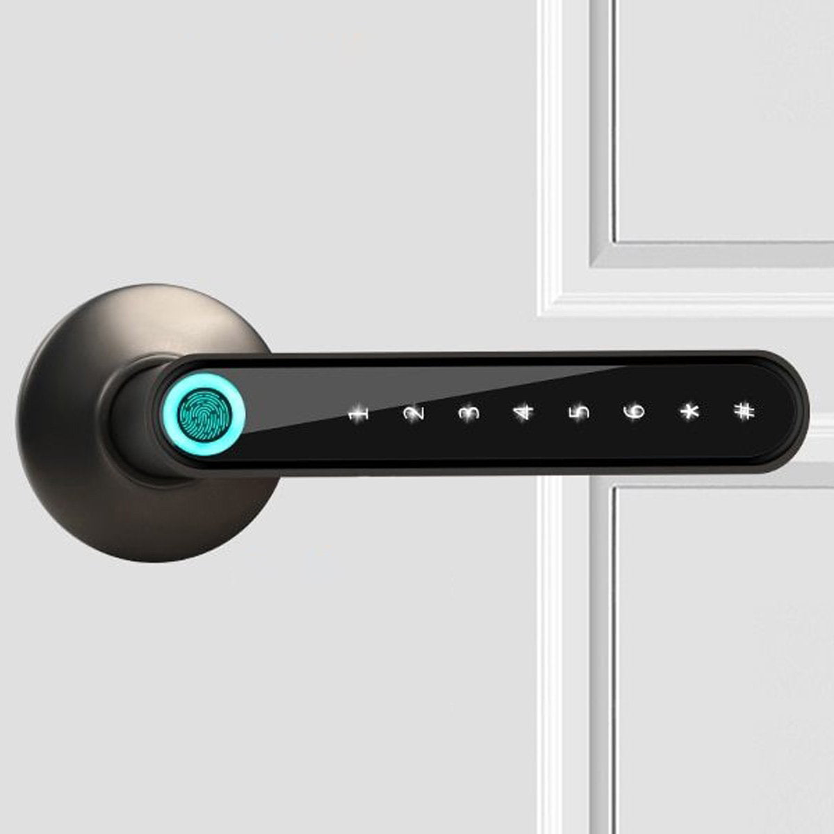 Secure Keyless Biometric Door Lock