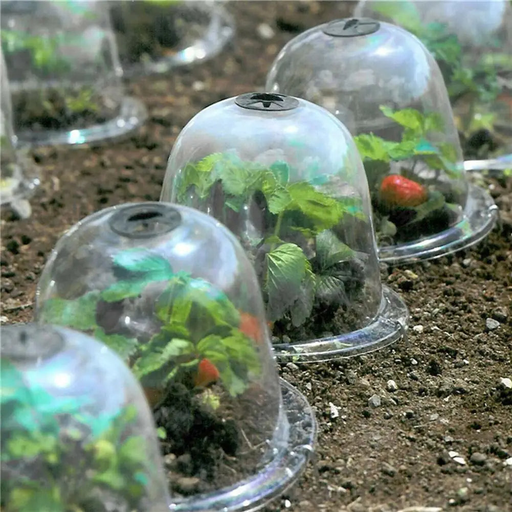 Weatherproof Transparent Plant Protection Cover - Pexav