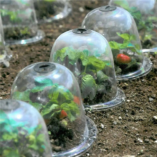 Weatherproof Transparent Plant Protection Cover - Pexav
