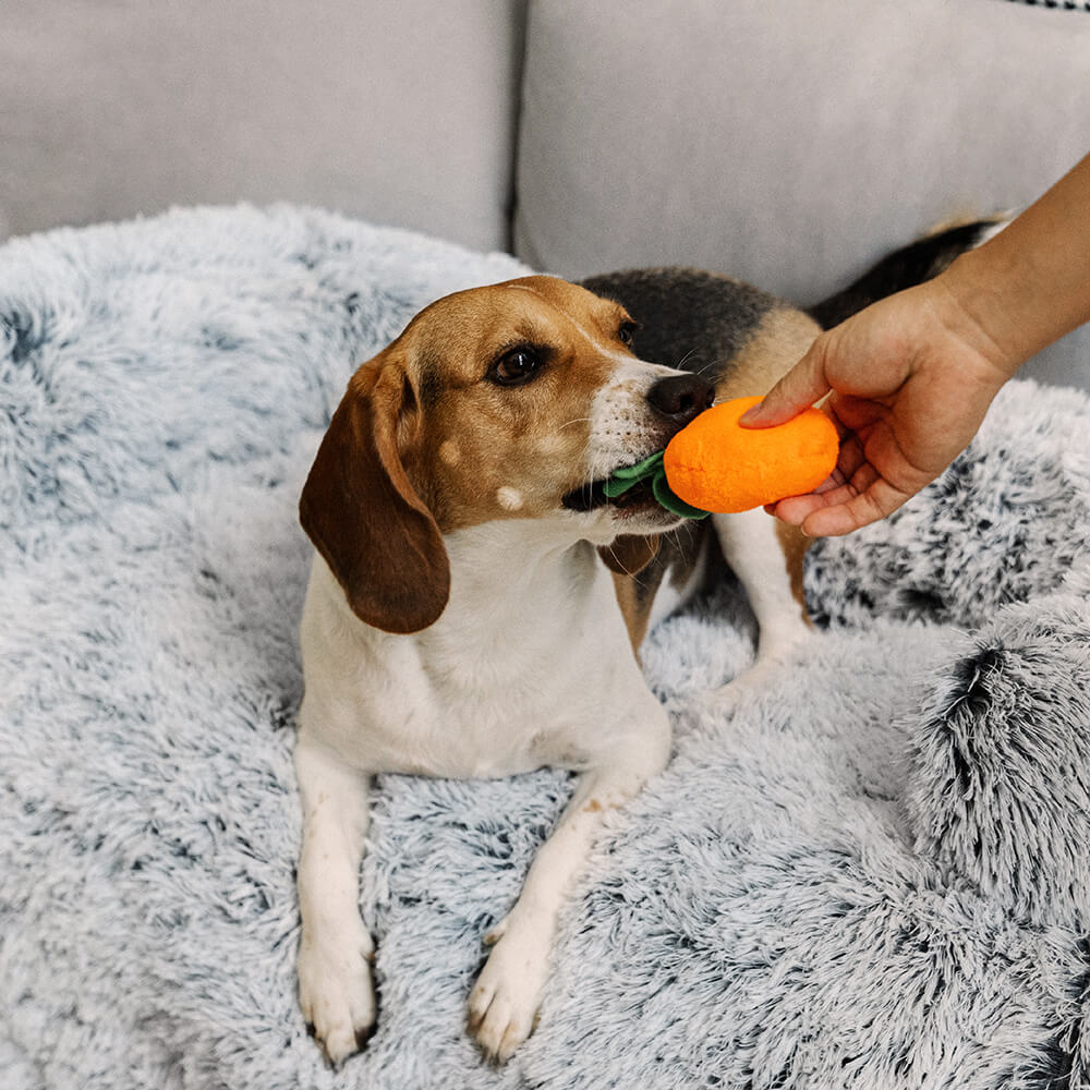 Comfortable Pet Sofa Bed - Plush Headrest