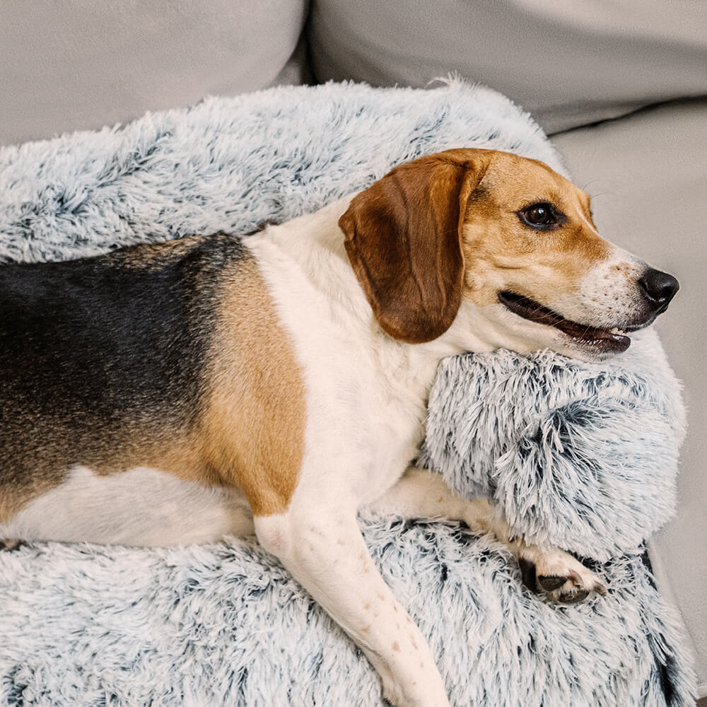 Comfortable Pet Sofa Bed - Plush Headrest