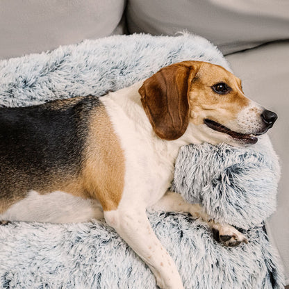 Comfortable Pet Sofa Bed - Plush Headrest