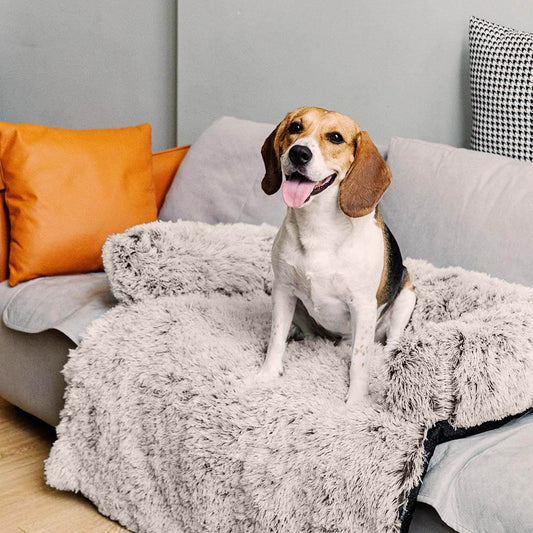 Comfortable Pet Sofa Bed - Plush Headrest - Pexav