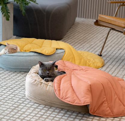 Fun Pet Blanket with Plush Dog Bed Cute Dog Accessories