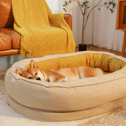 Fun Pet Blanket with Plush Dog Bed Cute Dog Accessories