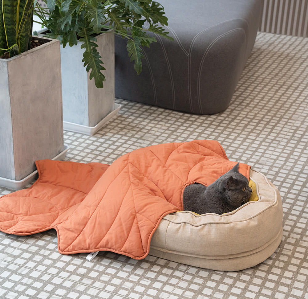 Plush Comfortable Supportive Pet Bed
