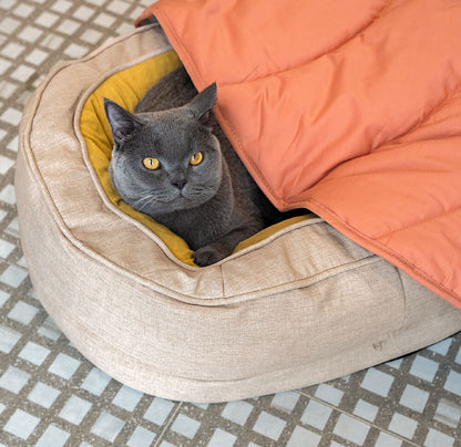 Fun Pet Blanket with Plush Dog Bed Cute Dog Accessories