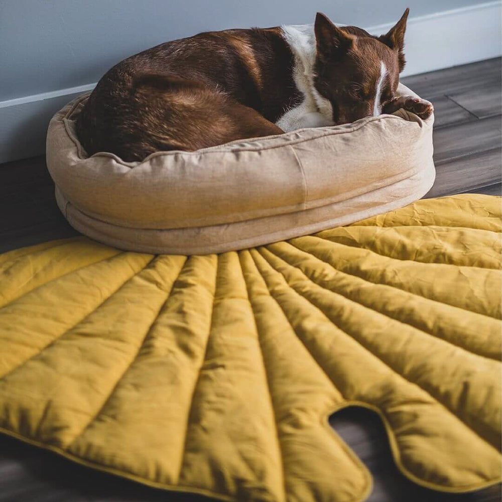 Fun Pet Blanket with Plush Dog Bed Cute Dog Accessories
