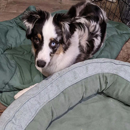 Fun Pet Blanket with Plush Dog Bed Cute Dog Accessories