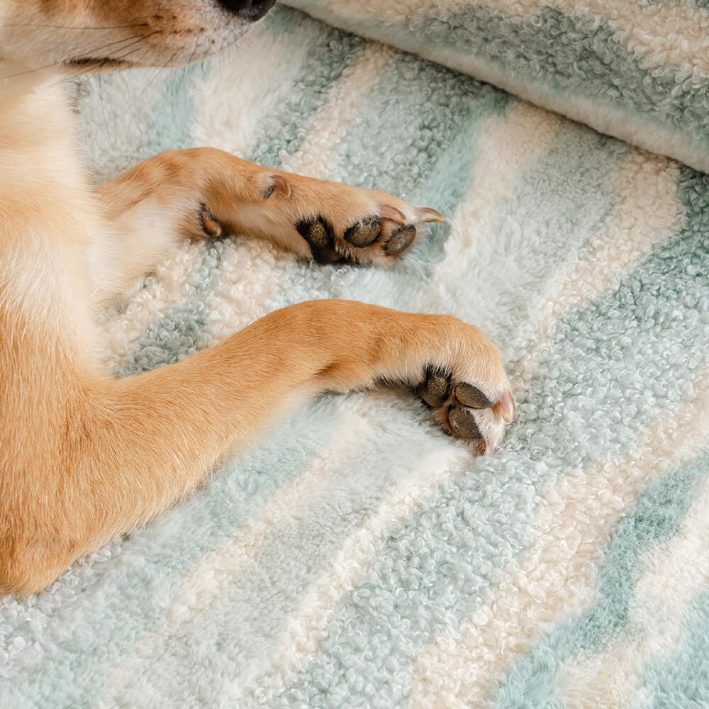 Comfortable Pet Sofa Made of Soft Wool