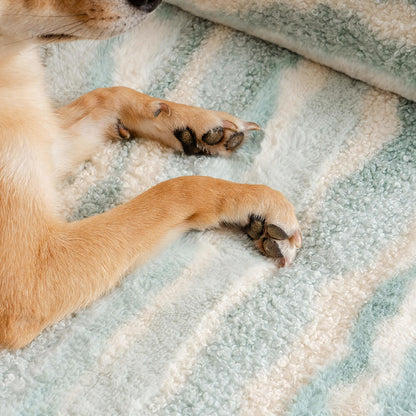 Comfortable Pet Sofa Made of Soft Wool