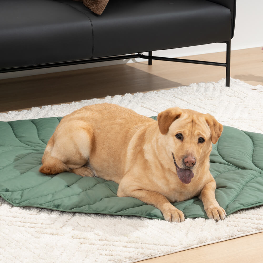 Green Pet Friendly Plush Blanket