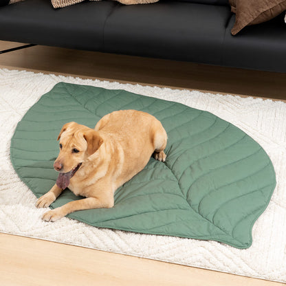Green Pet Friendly Plush Blanket