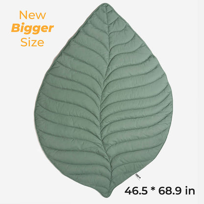 Green Pet Friendly Plush Blanket