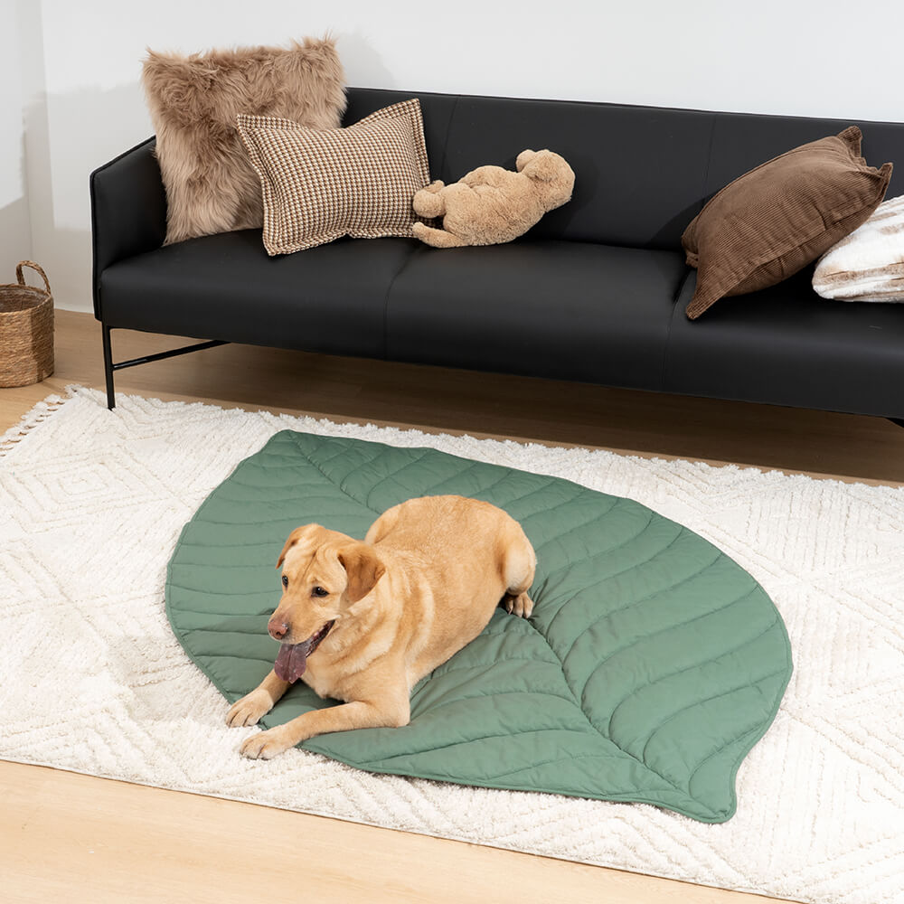 Green Pet Friendly Plush Blanket