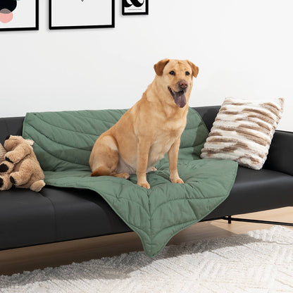 Green Pet Friendly Plush Blanket