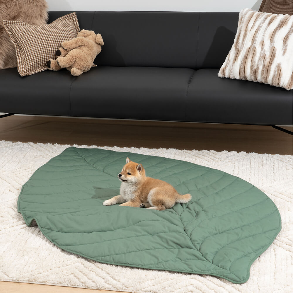 Green Pet Friendly Plush Blanket