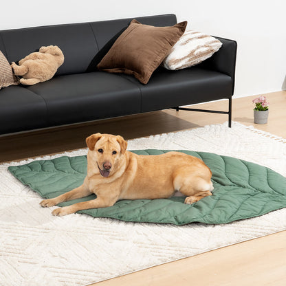 Green Pet Friendly Plush Blanket