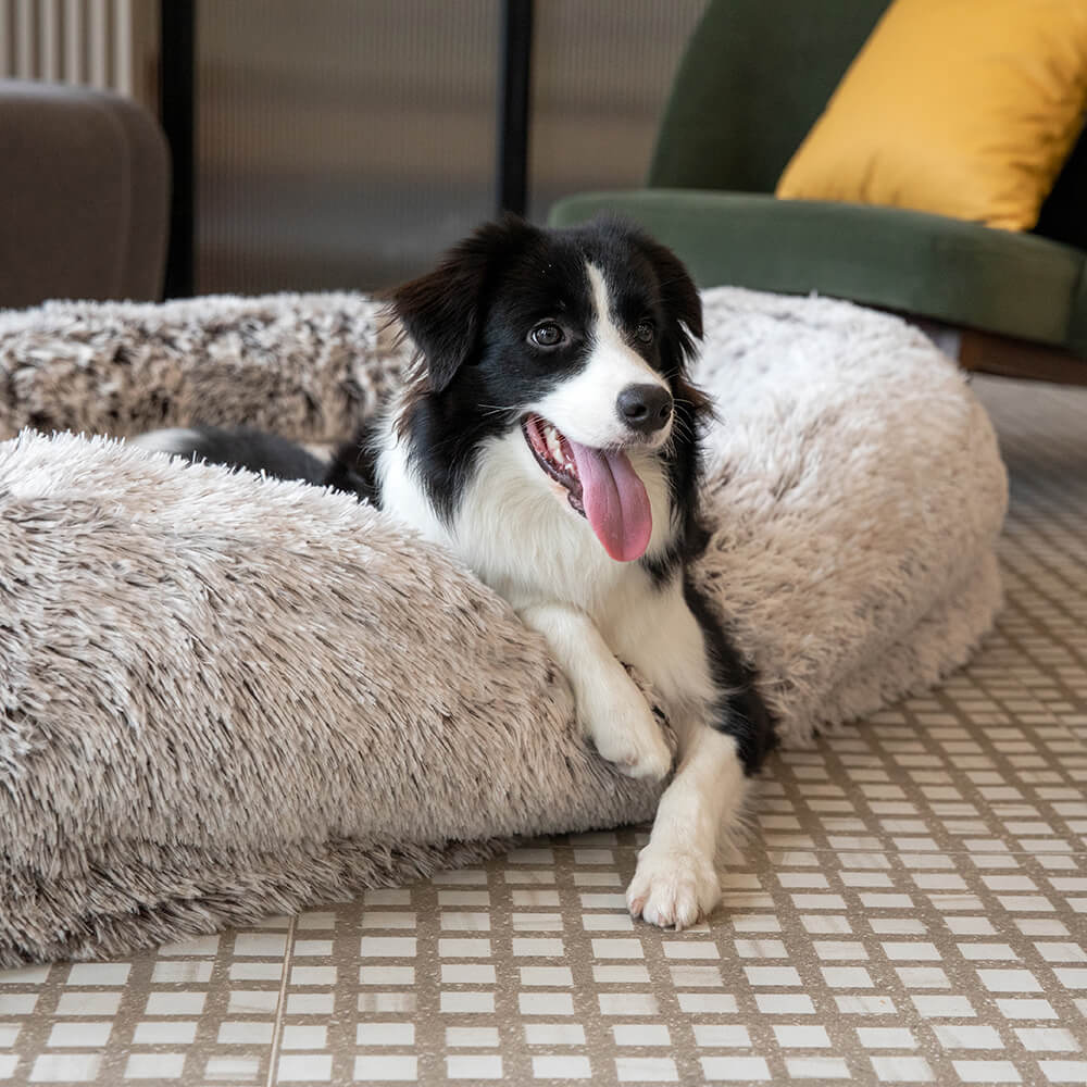 Extra Large Plush Pet Oval Bed for Humans Dogs