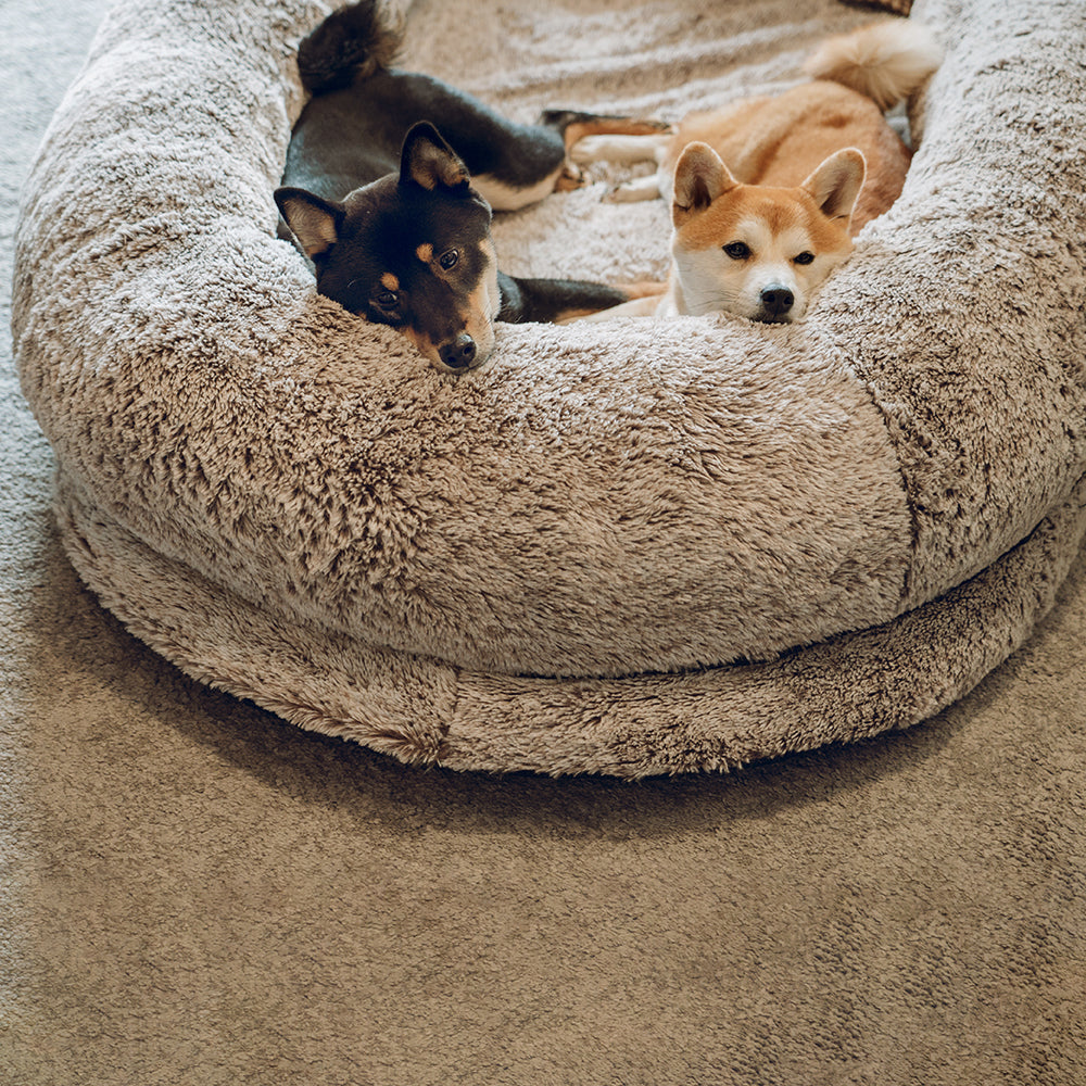 Extra Large Plush Pet Oval Bed for Humans Dogs