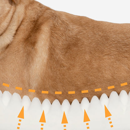 Plush Comfortable Supportive Pet Bed