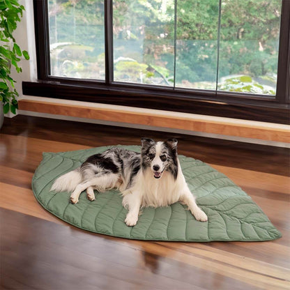 Green Pet Friendly Plush Blanket