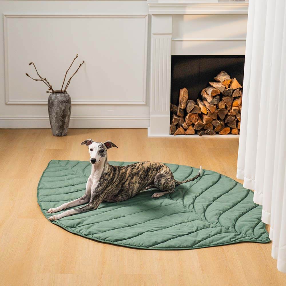 Green Pet Friendly Plush Blanket - Pexav