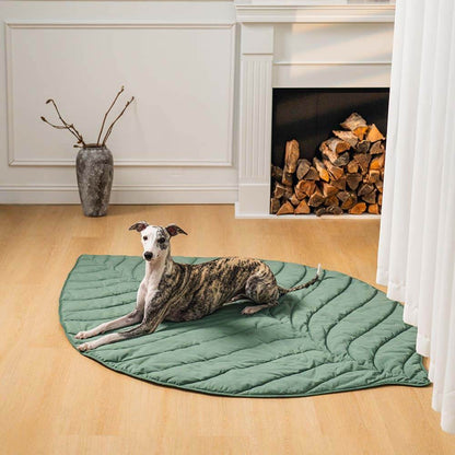 Green Pet Friendly Plush Blanket - Pexav