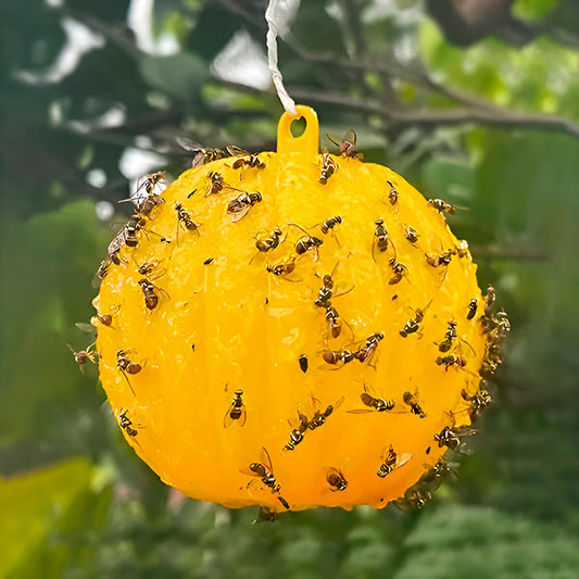 Sticky Insect Catcher with Glue Coating (6 Pack) - Pexav