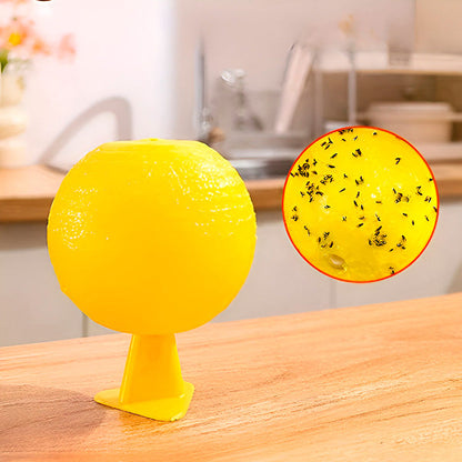 Sticky Insect Catcher with Glue Coating (6 Pack)