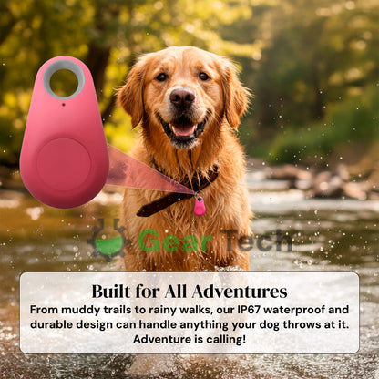 Durable GPS Pet Tracker with Extended Battery Life