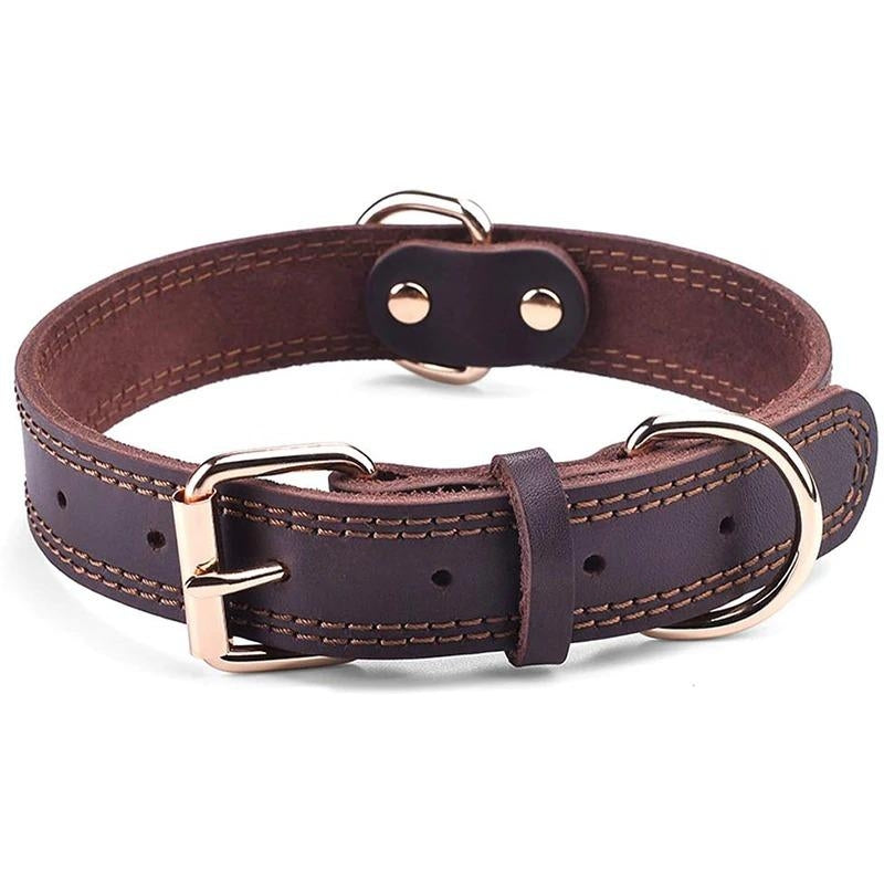Strong Real Leather Pet Collar - Pexav