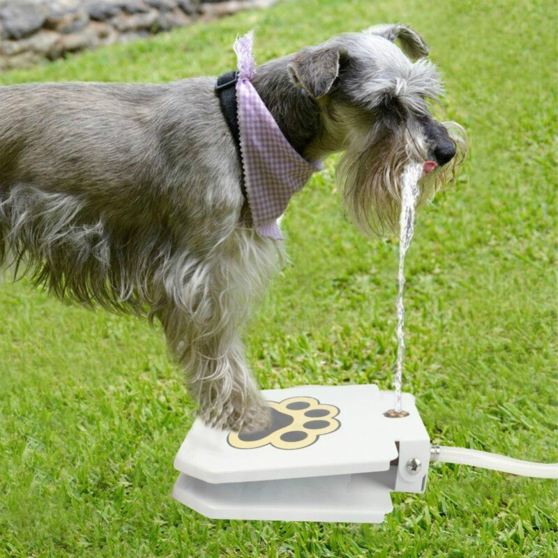Pet Drinking Water Fountain - Pexav