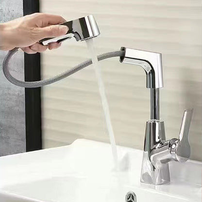 Stainless Steel Kitchen Faucet With Pull-Out Spray