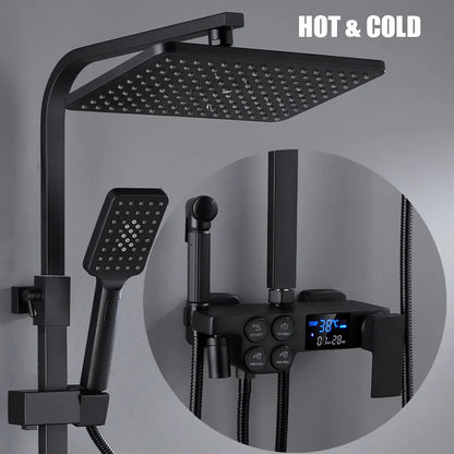 Premium LED Rain Shower Head System