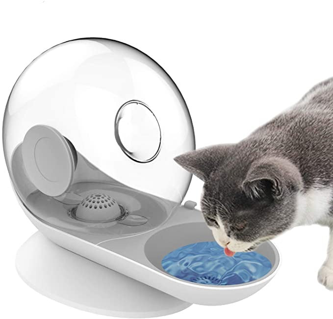 Self Cleaning Pet Water Fountain Dish
