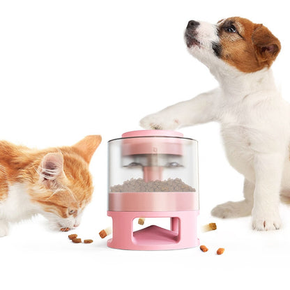 Fun Puzzle Pet Food Dispenser Toy