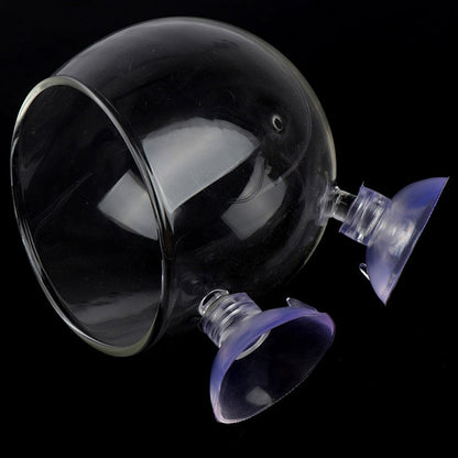 Beautiful Clear Fish Tank Glass Bowl - Pexav