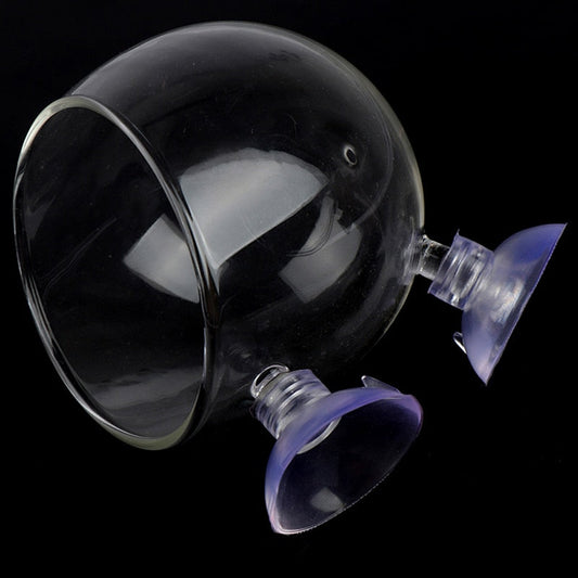 Beautiful Clear Fish Tank Glass Bowl - Pexav