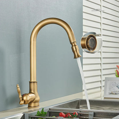 Classic Gold Finish Kitchen Faucet