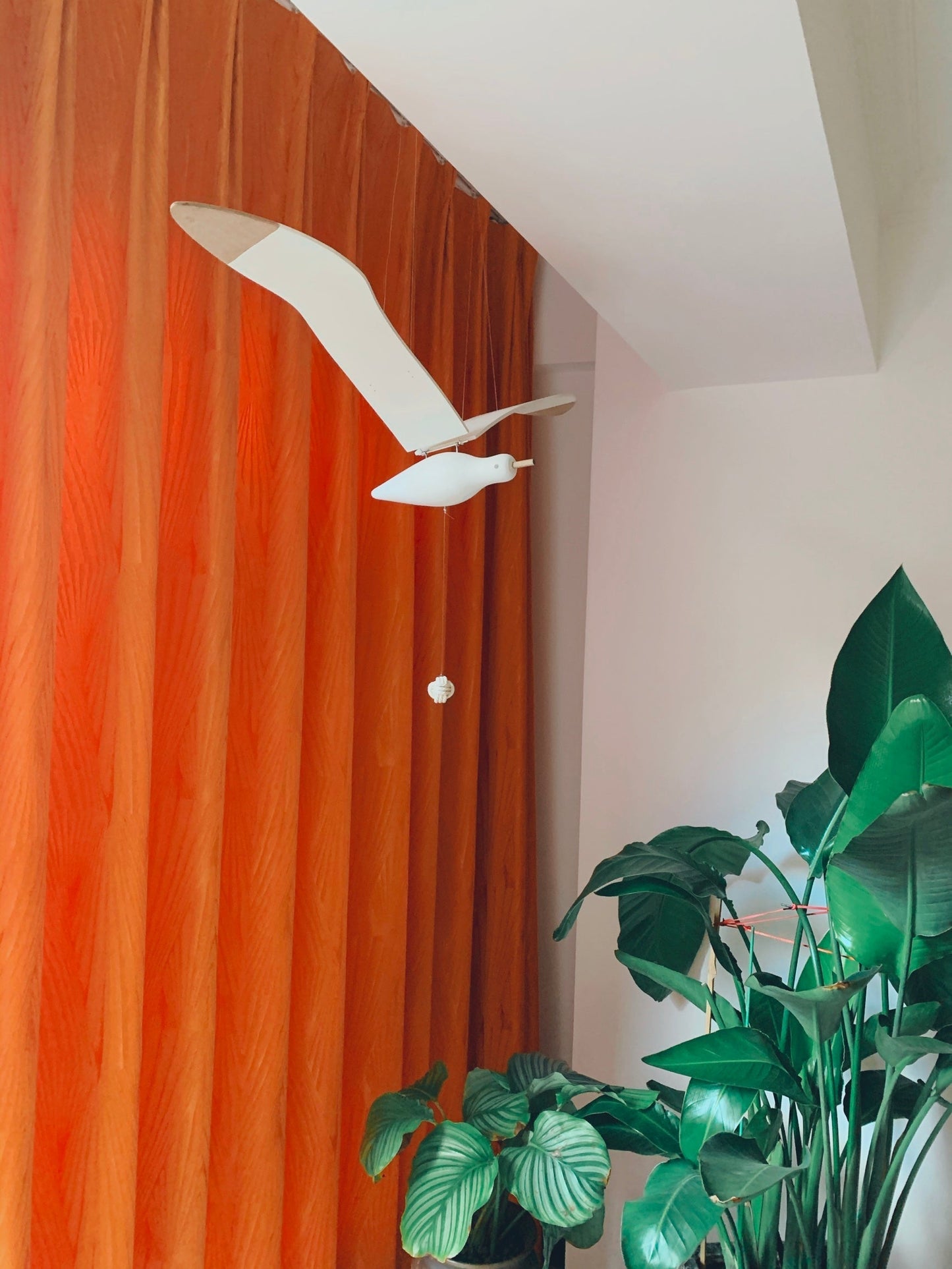 Beachy Wood Seagull Home Decor