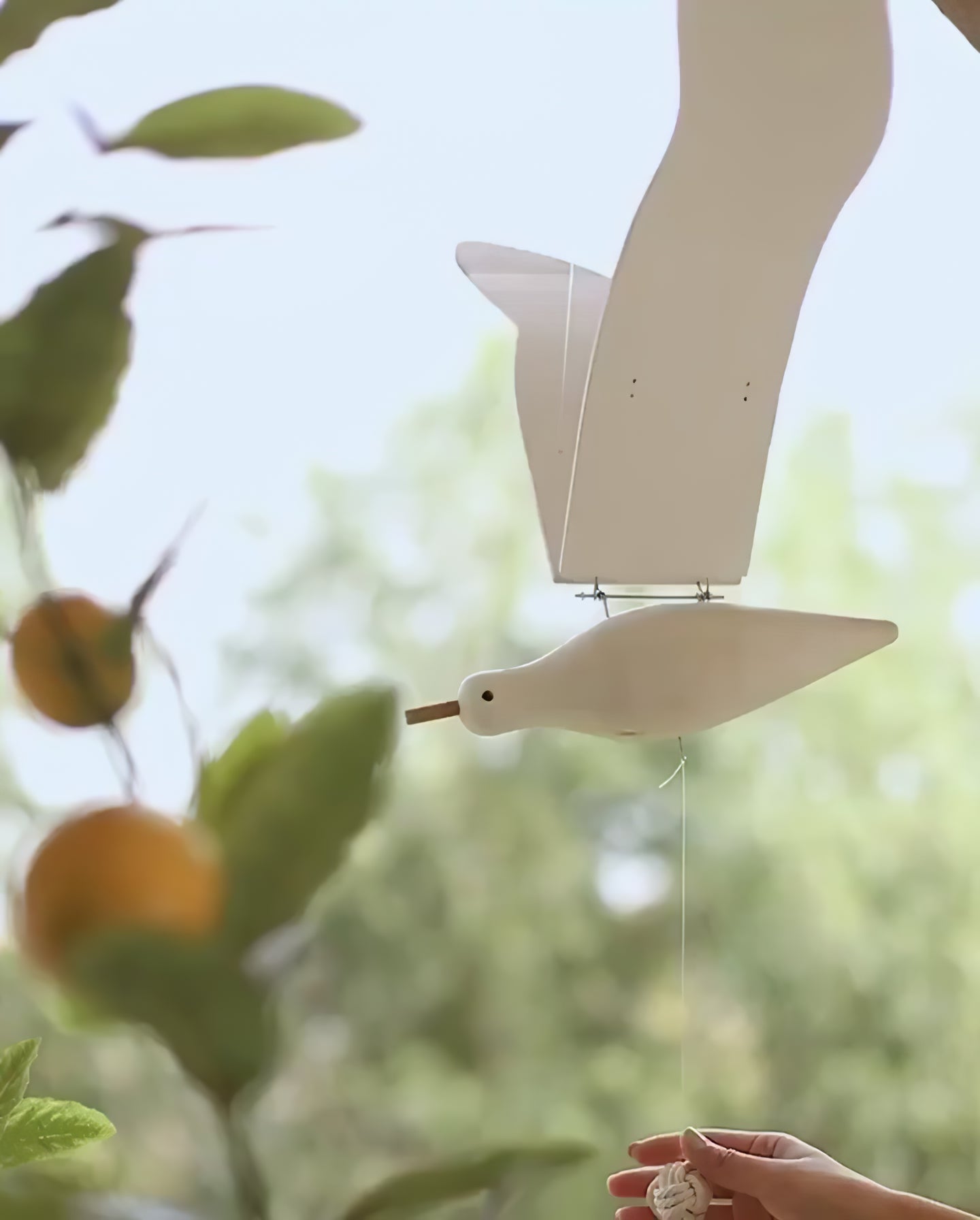 Beachy Wood Seagull Home Decor