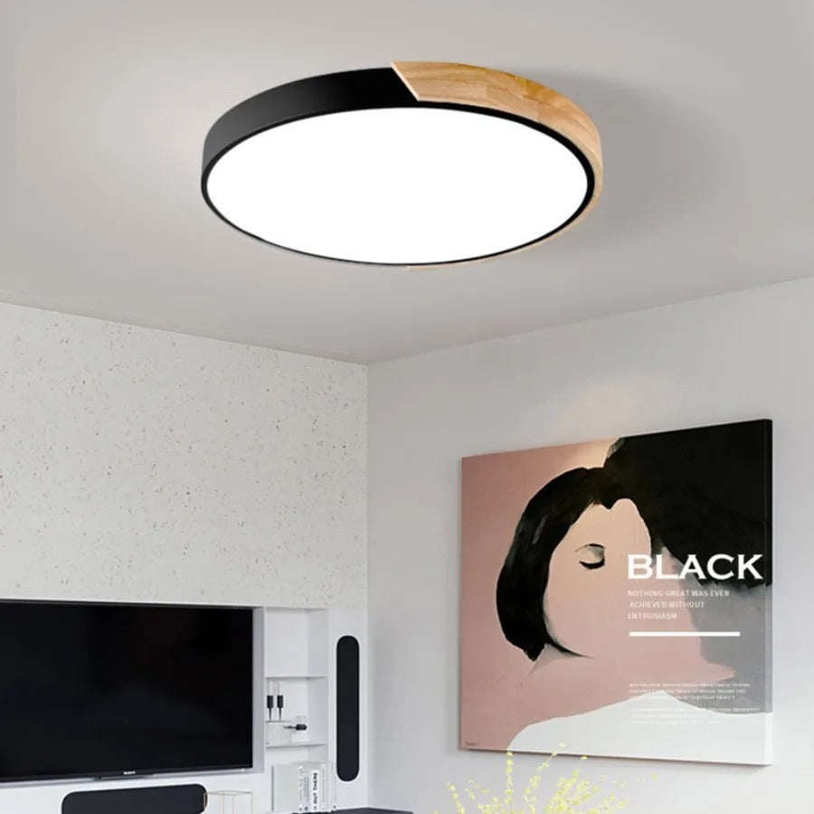 Simple White LED Ceiling Fixture Flush Mount Light - Pexav