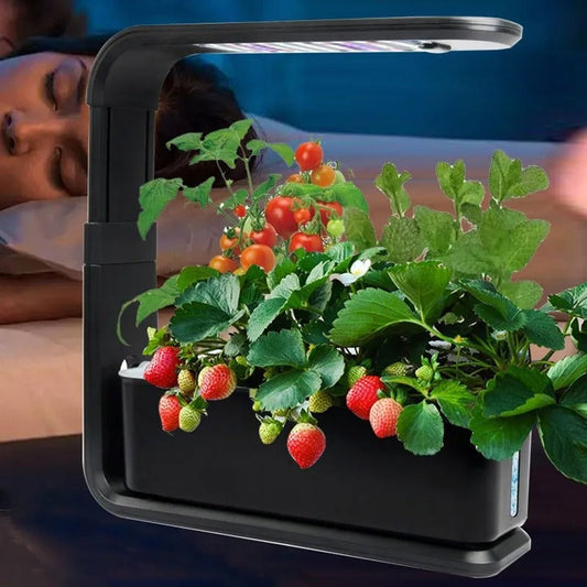 Automated Indoor Herb Garden Kit with LED Grow Light - Pexav