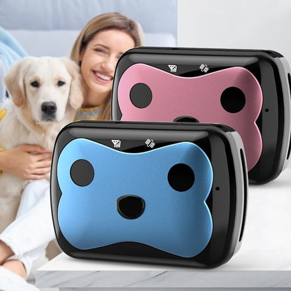Pet GPS Tracking Collar Device