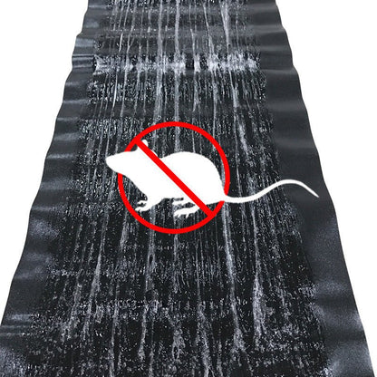 Safe Humane Mouse Trap for Home Pest Control - Pexav