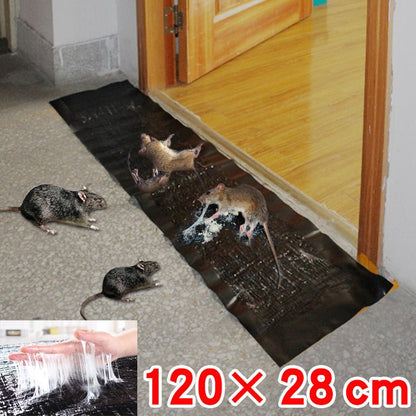 Safe Humane Mouse Trap for Home Pest Control