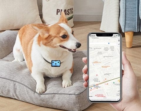 Pet GPS Tracking Collar Device